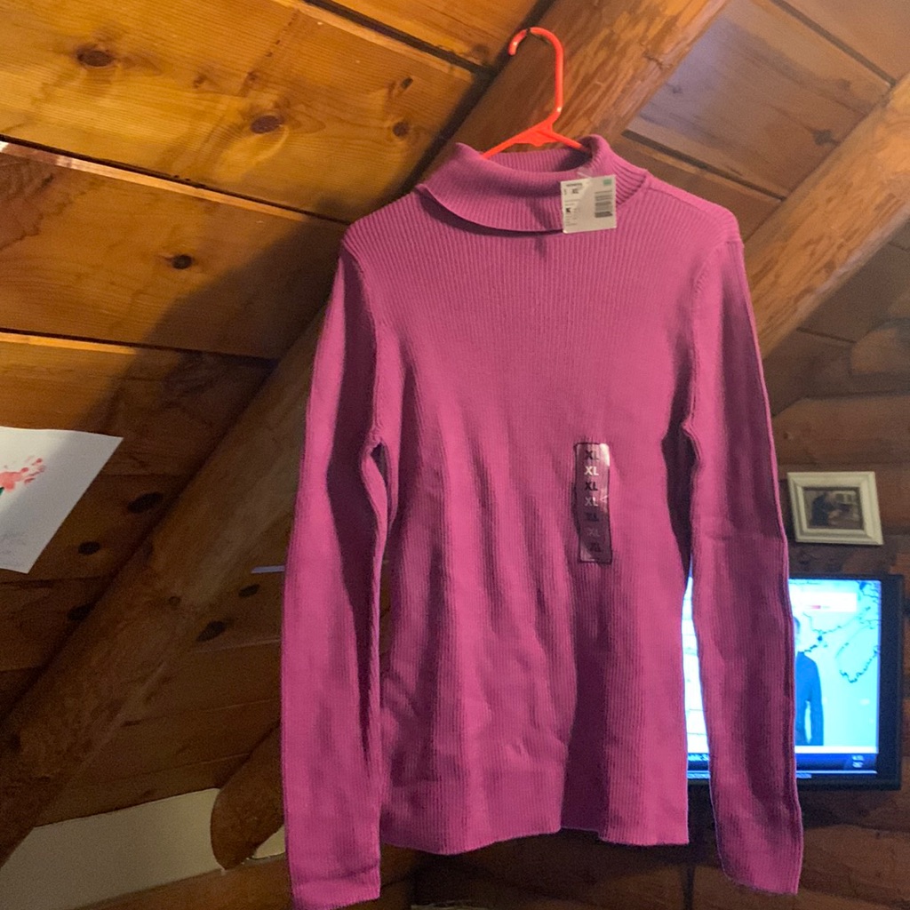 Basic Edition Turtleneck Top